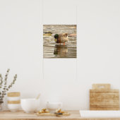 Stockente Foto Poster (Küche)