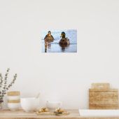 Stockente Foto Poster (Küche)
