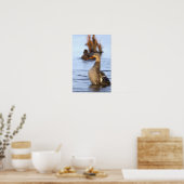 Stockente Foto Poster (Küche)
