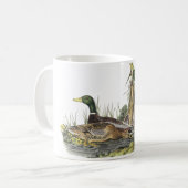 Stockente, John Audubon Kaffeetasse (Vorderseite Links)