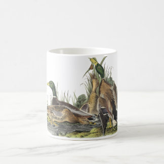 Stockente, John Audubon Kaffeetasse