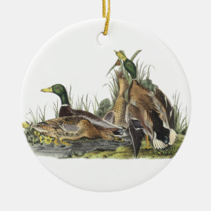 Stockente, John Audubon Keramikornament