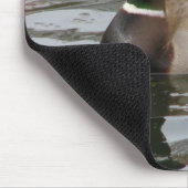 Stockente Mousepad (Ecke)