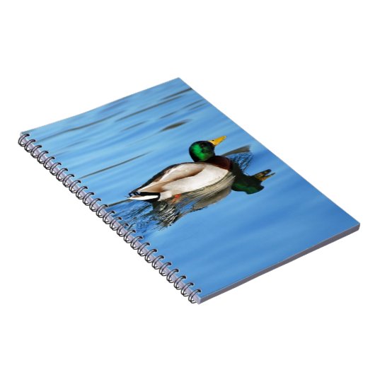 Stockente Notizblock (Rechte Seite)