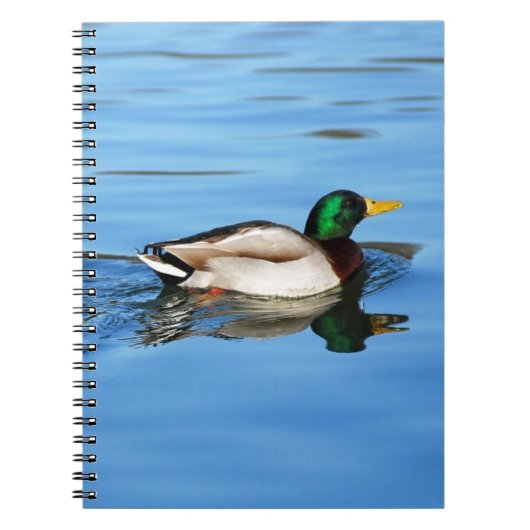 Stockente Notizblock (Vorderseite)