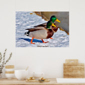 Stockente Poster (Küche)