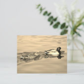 Stockente Postkarte (Stehend Vorderseite)