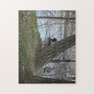 Stockente Puzzle