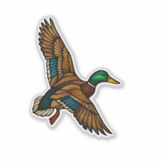 Stockenten-Aufkleber Aufkleber