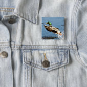 Stockenten-Drake-Ente Button (Beispiel)