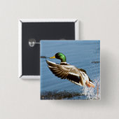 Stockenten-Drake-Ente Button (Vorne & Hinten)