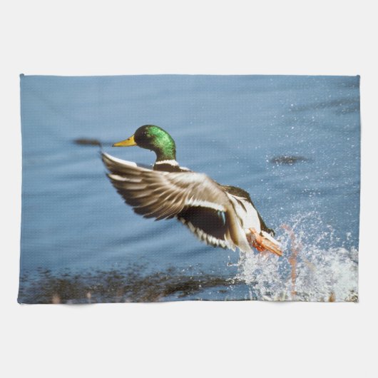 Stockenten-Drake-Ente Handtuch (Horizontal)