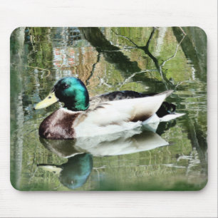 Stockenten-Drake-Reflexionen Mousepad- Mousepad