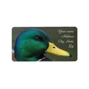 Stockenten-Ente Adressaufkleber