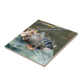 Stockenten-Ente auf moosiger Felsen-(weiblicher) Fliese (Seite)