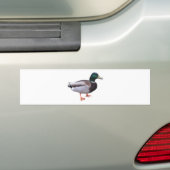 Stockenten-Ente Autoaufkleber (Auf Auto)