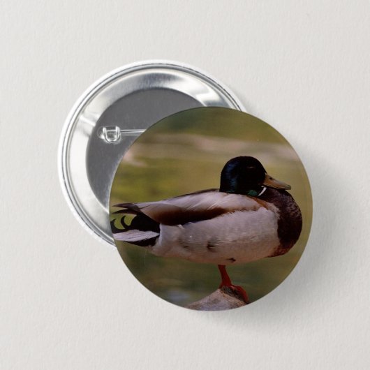Stockenten-Ente Button (Vorne & Hinten)