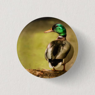 Stockenten-Ente Button