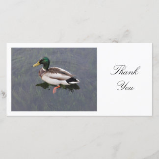 Stockenten-Ente - danke