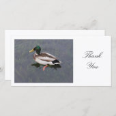 Stockenten-Ente - danke (Vorne/Hinten)