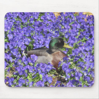 Stockenten-Ente, die ein Bett der Blumen Mousepad
