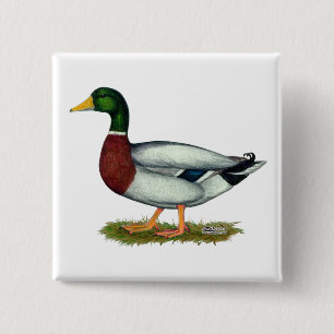 Stockenten-Ente Drake Button