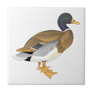 Stockenten-Ente (Drake) Fliese