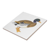 Stockenten-Ente (Drake) Fliese (Seite)