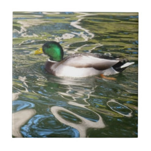 Stockenten-Ente Fliese