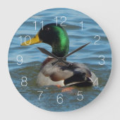 Stockenten-Ente Große Wanduhr (Vorderseite)
