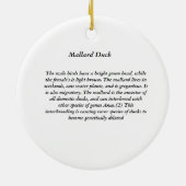 Stockenten-Ente Keramikornament (Hinten)
