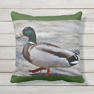 Stockenten-Enten-Foto Kissen