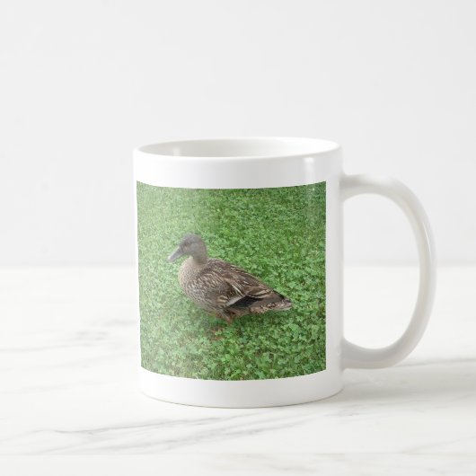 Stockenten-Enten-Frau-Foto Kaffeetasse (Rechts)