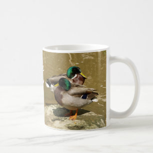 Stockenten-Enten, Tasse I LoveDaddy