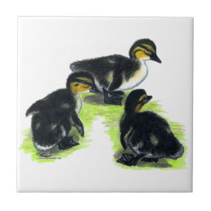 Stockenten-Entlein Fliese