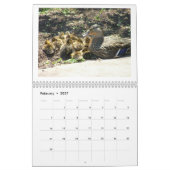 Stockenten-Entlein Kalender (Feb 2027)