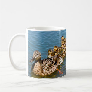 Stockenten-Entlein und ihr Momma Kaffeetasse