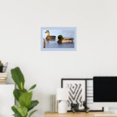 Stockenten Foto Poster (Heimbüro)