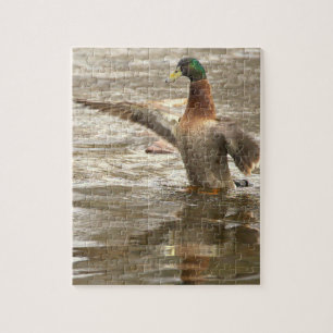 Stockenten-Foto-Puzzle Puzzle