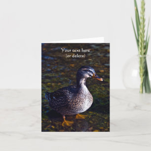 Stockenten-Grußkarte Karte