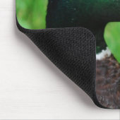 Stockenten-Mausunterlage Mousepad (Ecke)