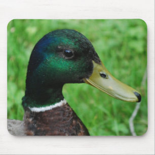 Stockenten-Mausunterlage Mousepad