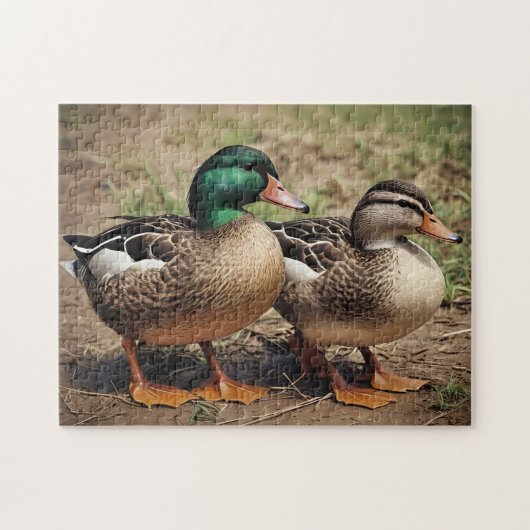 Stockenten-Paar Puzzle (Horizontal)