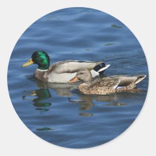 Stockenten Runder Aufkleber