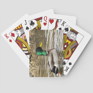 Stockenten-Spielkarten Spielkarten