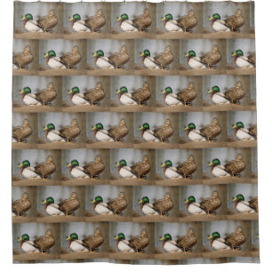 Stockenten Wasservögel Duschvorhang