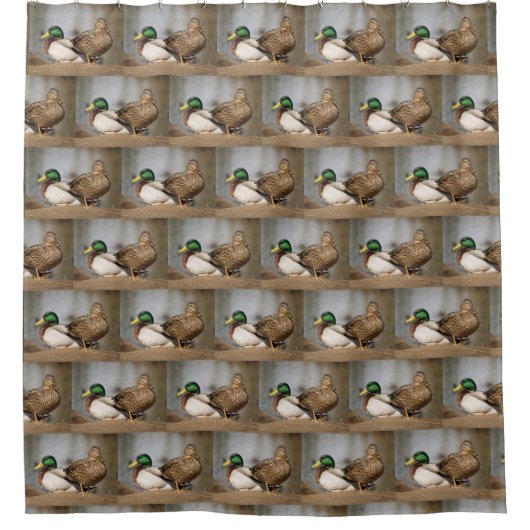 Stockenten Wasservögel Duschvorhang (Vorderseite)