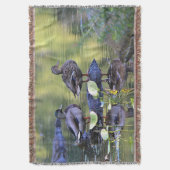 Stockentenenten Decke (Vorderseite Vertikal)