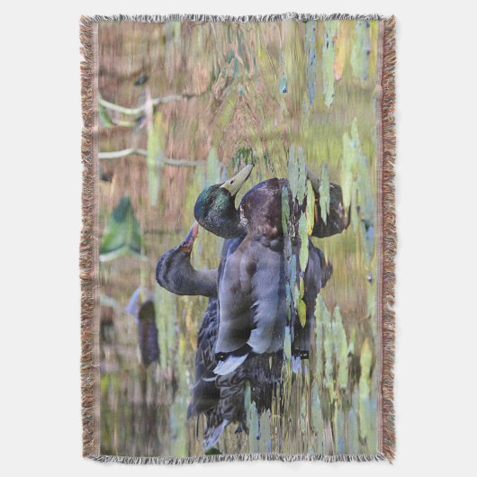 Stockentenenten Decke (Vorderseite Vertikal)