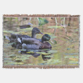 Stockentenenten Decke (Vorderseite)